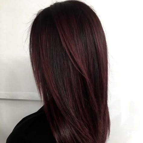 Dark Brown Hair With Red Highlights Straight, Cherry Red Hair Straight, Red Highlights On Dark Hair Straight, Burgundy Hair No Bleach, Black Cherry Hair Highlights, Mahagoni Hair Color Brown, Dark Red Hair Almost Black, Long Brown Hair With Red Highlights, Black Hair With Undertones