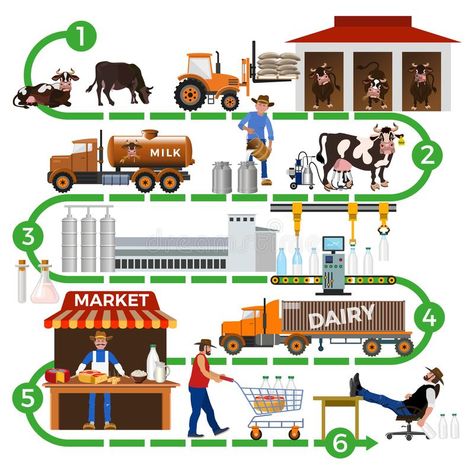 Chain Vector, Industry Illustration, Milk Industry, Mother Dairy, Milk Processing, Process Infographic, Dairy Industry, Classroom Displays, Supply Chain