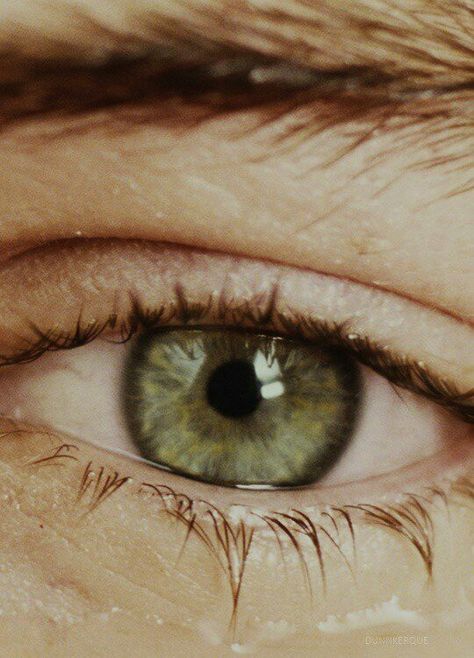 Harry Styles Eyes, Eye Close Up, Holmes Chapel, Most Beautiful Eyes, Harry Styles Pictures, Harry Edward Styles, Edward Styles, Pretty Eyes, Green Aesthetic