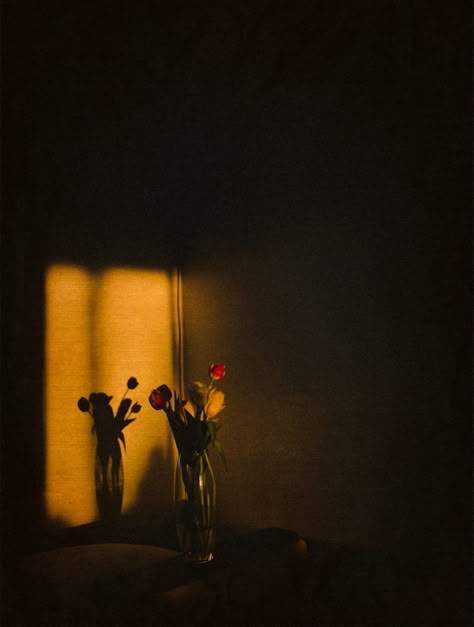 #sunset #shadows #flowers #evening Light And Shadow Aesthetic, Normal Background For Editing, Daydreaming Aesthetic, Random Aesthetic Pics, Quran Background, Nature Baground Images, Sunset Shadow, Light In Darkness, Light And Shadow Photography