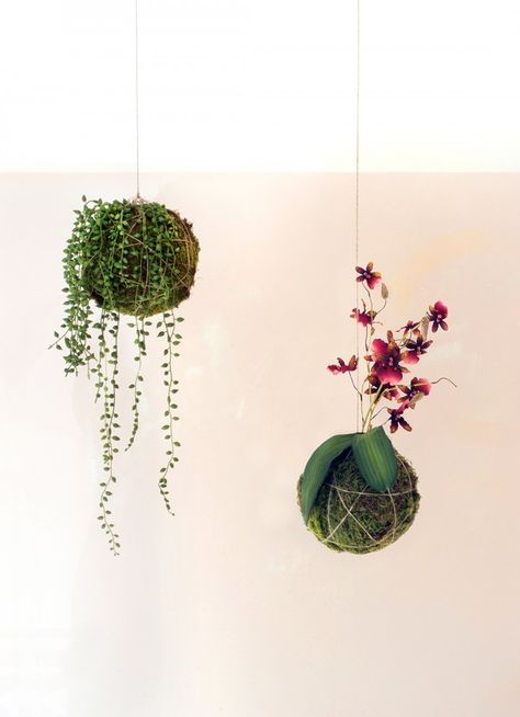 Foliage Ceiling, Kimmy Hogan, Moss Diy, Gardening Indoors, Fake Hanging Plants, Mops Crafts, Hanging Plants Diy, String Garden, Floral Projects