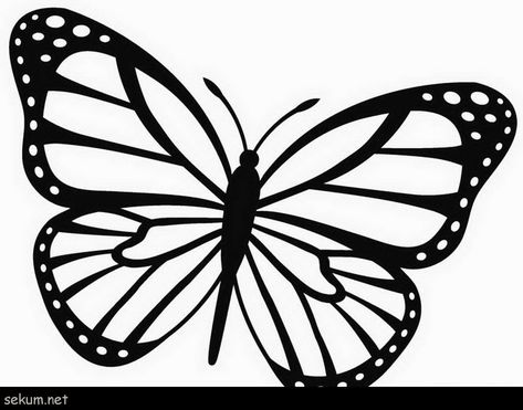 Brilliant Image of Monarch Butterfly Coloring Page - davemelillo.com Morpho Azul, Easy Butterfly Drawing, Butterfly Drawings, Butterfly Coloring Pages, Insect Coloring Pages, Easy Butterfly, Butterfly Sketch, Butterfly Outline, Butterfly Coloring