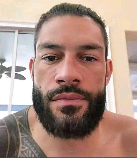 Superman Punch, Roman Reigns Tattoo, Roman Reigns Dean Ambrose, Roman Reigns Family, Roman Reigns Smile, Face Proportions, Roman Reigns Shirtless, Roman Reigns Wwe Champion, Seductive Photos