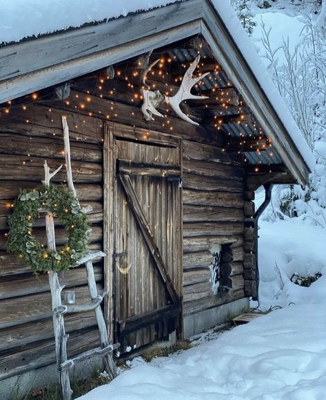 Vintage Christmas Tree Ideas, Holiday Living Room, Holiday Bedroom, Cabin Christmas, Deco Originale, Christmas Tree Ideas, Beautiful Christmas Trees, Christmas Tablescapes, Cabins And Cottages