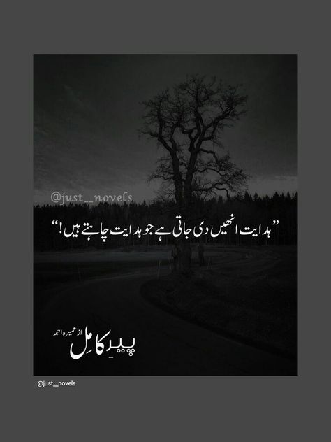 Peer Kamil Novel, Peer E Kamil Quotes In Urdu, Umera Ahmed Quotes Novels, Peer Kamil Quotes, Peere Kamil Quotes, Peer E Kamil Quotes, Peer E Kamil Aesthetic, Peer E Kamil Novel Lines, Abe Hayat