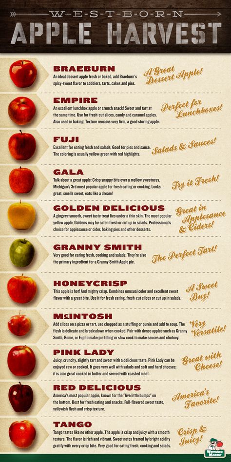 Apple Chart Apple Chart, Food Random, Book Owl, A Is For Apple, Gourmet Apples, Fresh Snacks, Apple Types, Apple Cut, Fruit List