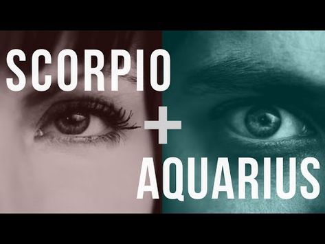 The reason these two actually work, regardless of what everyone else says. Scorpio and Aquarius can't help but like each other. Virgo Scorpio Compatibility, Taurus And Capricorn Compatibility, Aquarius Relationship, Virgo Relationships, Virgo Compatibility, Aquarius Compatibility, Capricorn Compatibility, Pisces Compatibility, Scorpio Compatibility