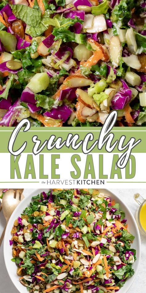 This Chopped Kale Salad recipe is loaded with curly kale, red and green cabbage, fresh herbs, golden raisins nuts and seeds all tossed in a completely addictive honey lime vinaigrette. Serve this kale cabbage salad with grilled chicken or fish, with a bowl of hearty soup or stew, or enjoy it as a light meal on its own. Broccoli Kale Salad, Kale Chopped Salad Recipes, Kale And Potatoes Recipes, Kale And Cabbage Salad Recipes, Kale Cabbage Salad, Chopped Kale Salad, Chopped Kale Salad Recipes, Cabbage Kale Salad Recipes, Cabbage Kale Salad