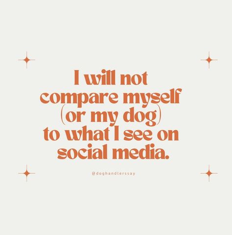 We’re here to drop off your daily dose of dog sport and training memes. #ThingsDogHandlersSay #DogTraining #DogSports #CanineAesthete Dog Training Aesthetic, Training Motivation Quotes, Dogs Training, Working Dog, Puppy Stuff, Sports Aesthetic, Training Motivation, Dc Memes, Sports Memes