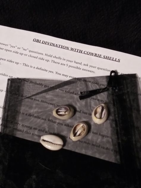 Obi Divination with 4 Cowrie Shells and Instructions https://etsy.me/3FT31x3 #divination #hoodoo #voodoo #cowrieshells #wicca #witchcraft #pagan #folkmagic #witchybywillow Shell Divination, Folk Magic, Cowry Shell, Wicca Witchcraft, Cowrie Shells, Cowrie Shell, Rabbit Fur, Bones, Shells