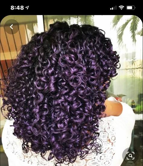 Purple Hair Natural, Purple Curly Hair, Curly Purple Hair, Purple Natural Hair, Purple Hair Highlights, Dark Purple Hair, Dyed Curly Hair, Highlights Curly Hair, Wine Hair