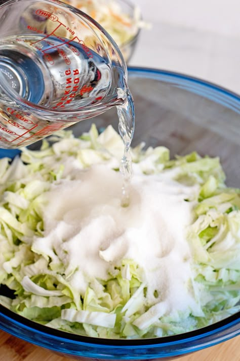 Cole Slaw Recipe Vinegar, Hot Slaw Recipe, Vinegar Slaw Recipe, Oil And Vinegar Coleslaw, Coleslaw Burger, Vinegar Slaw, Cabbage Slaw Recipes, Vinegar Coleslaw, Coleslaw Recipe Easy