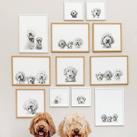 Mixtiles Decor Ideas on Instagram: "Who let the dogs out? We did! Transform your space into a doggy daydream with the perfect pet gallery. 🐶💕" Dog Picture, The Dogs, Picture Collage, May 27, House Stuff, Dog Pictures, Decor Ideas, Let It Be, Pet