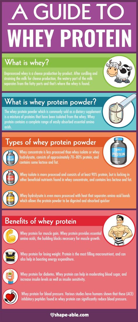 A Guide to Whey Protein - InfographicBee.com Protein Infographic, Protein For Muscle Gain, What Is Whey Protein, Whey Protein Benefits, Casein Free Diet, Weekly Gym Workouts, Super Motivational Quotes, Benefits Of Protein, Quotes About Inspiration