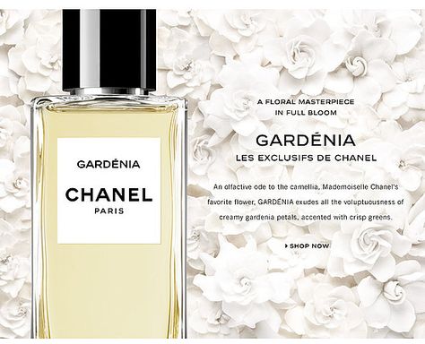 Chanel Gardenia Perfume, Gardenia Chanel, Chanel Gardenia, Perfume Wardrobe, Gardenia Perfume, Chanel Fragrance, Mademoiselle Chanel, Wear Perfume, Eat My