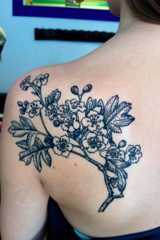 most similar to what I'd like but with thicker more tree-like branch- love the integration of flowers, leaves, and branch Tattoo Shoulder Cap, Black And Blue Tattoo, Tree Tat, Small Sister Tattoos, Nouveau Tattoo, Small Shoulder Tattoos, Tattoo Shoulder, Blossom Branch, Blue Tattoo