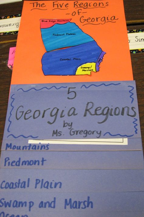 Five Regions of Georgia Georgia Habitats, Georgia Regions, Third Grade Social Studies, Georgia History, 3rd Grade Social Studies, Tips For Teachers, 4th Grade Social Studies, Social Studies Unit, Third Grade Science