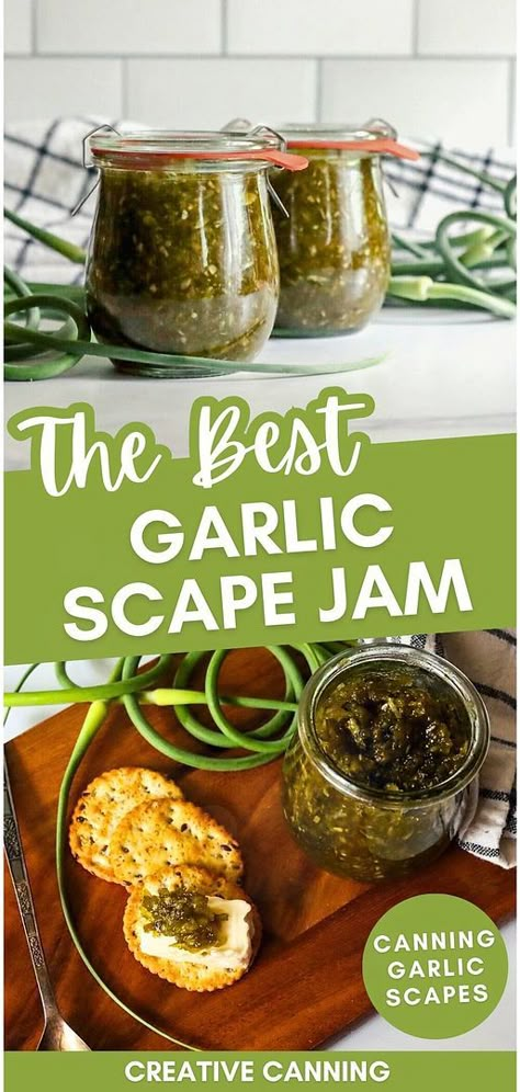 The best garlic scape jam and preserving garlic scapes & canning garlic scapes blend perfectly in this unique recipe. Crafted with white wine, vinegar, and spices, this jam is a gourmet addition to any charcuterie board or as a savory spread on burgers. Find more water bath canning recipes, canning recipes for beginners, and preserving garlic scapes at creativecanning.com Garlic Scapes Recipes Air Fryer, Canning Garlic, Garlic Scapes Recipes, Canning Recipes For Beginners, Preserving Garlic, Garlic Scape Pesto, Water Bath Canning Recipes, Canning Jam Recipes, Hardneck Garlic