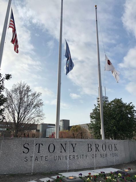 Stony Brook University Aesthetic, Stonybrook University, Boston Brookline, Stockton University, Welcome To Brooklyn, Long Island University Brooklyn, Stony Brook University, Trip The Light Fantastic, Stony Brook