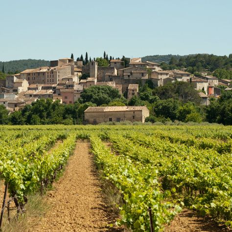 Best Wineries To Visit In Provence - TravelAwaits Regions Of France, France Photos, Loire Valley, Provence France, Wine Tour, Cultural Experience, Wine Region, Saint Martin, French Riviera