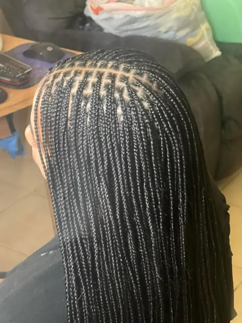 Micro Knotless, Knotless Plaits, Healthy Black Hair, Small Knotless, Natural Braided Hairstyles, Small Box Braids, Natural Hair Bun Styles, Quick Natural Hair Styles, Single Braids