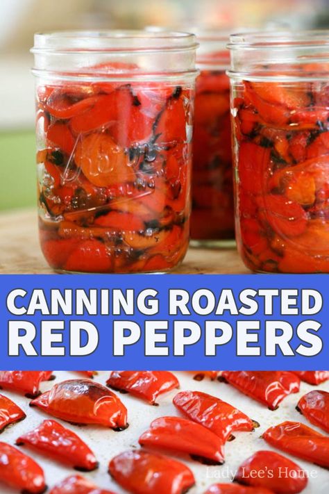 Canning Roasted Red Peppers, Can Peppers, Pickling Peppers, Canning Bell Peppers, Roasted Red Peppers Recipes, Garden Peppers, Canning Peppers, Red Pepper Recipes, Homestead Recipes