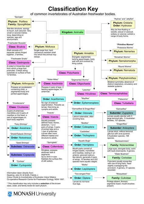 Classification Of Elements And Periodicity In Properties Notes, Biological Classification Notes Class 11, Bsc 1st Year Zoology Notes, Biological Classification Mind Map, Csir Net Life Science Study Plan, Biological Classification Notes For Neet, Taxonomy Notes, Invertebrates Classification, Biological Classification Notes