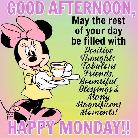 Good Afternoon Happy Monday, Monday Afternoon Quotes, Good Monday Afternoon, Happy Monday Afternoon, Happy Monday Winnie The Pooh, Good Afternoon Monday, Funny Monday Memes Humor, Funny Monday Memes, Happy Monday Memes Funny