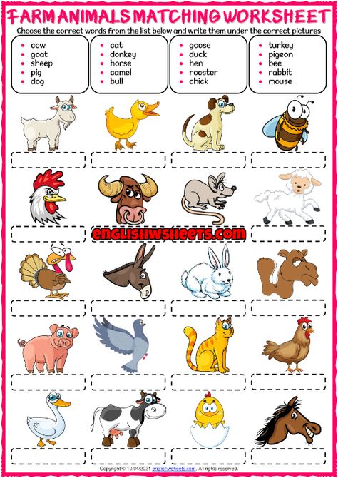 Animal Vocabulary Worksheet, Kindergarden Worksheet, Farm Animals Worksheet, Male Baby Names, English Games For Kids, Animal Vocabulary, Animals Worksheet, Body Parts For Kids, Animals And Their Homes