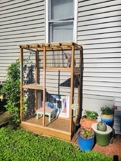 Outdoor Cage For Cats, Cat Window Box Outdoor, Camper Catio Ideas, Small Cat Patio, Cat Patio Diy How To Build, Ikea Catio Hacks, Diy Catios For Cats Easy, Outdoor Cat Enclosure Attached To House, Catio Attached To House