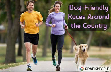 Running Partner, Partner Workout, Best Dog Breeds, How To Start Running, Dog Health, Training Your Dog, Pet Health, Dog Walking, Running Women