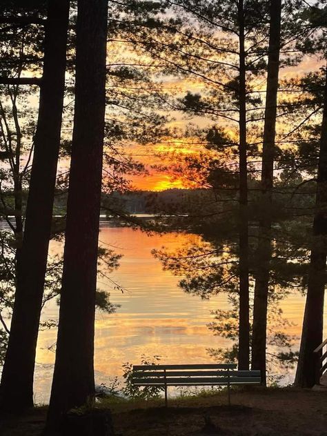 Hayward Wisconsin, Heaven On Earth, Park Bench, Summer 2024, Wisconsin, Natural Beauty, Outdoor Furniture, Lake, Outdoor Decor