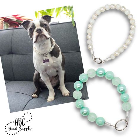 Beaded Dog Collar Diy, Dog Collars Diy, Dog Necklace Collar, Pearl Dog Collar, Dog Pearls, Diy Dog Collar, Collars Diy, Beaded Dog Collar, Shades Of Peach