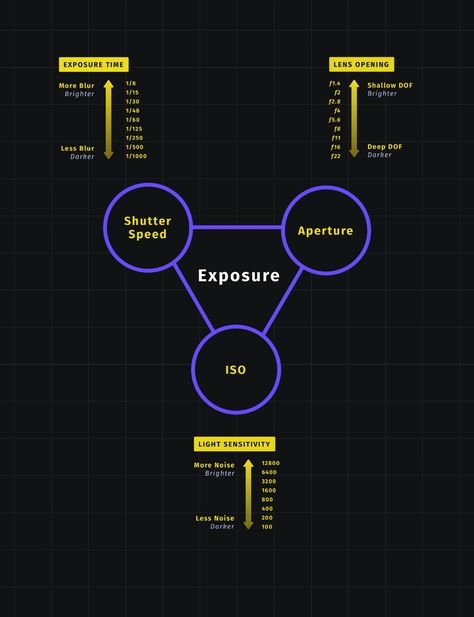 Photography Triangle, Exposure Triangle, What Is Iso, Photography Settings, Learn Photography, Logo Design Video, Light Sensitivity, Spike Lee, Photography Basics