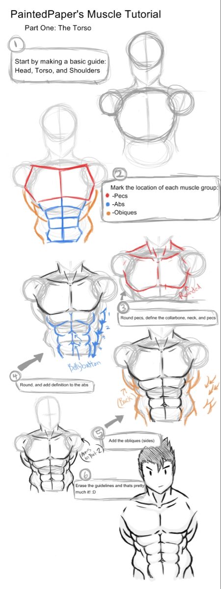 Muscles Tutorial, Muscles Drawing, Guy Reference, Male Body Drawing, Human Body Drawing, Human Anatomy Drawing, Body Drawing Tutorial, Human Figure Drawing, Human Anatomy Art