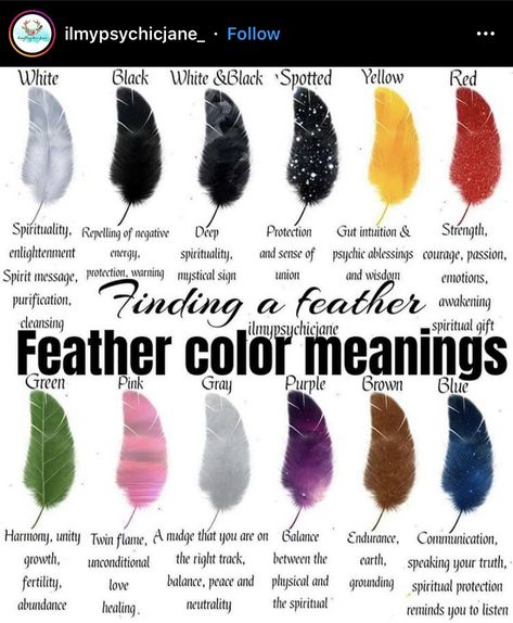 Meaning Of Feather Colors, Green Feather Meaning, Feather Meaning Symbols Spiritual, Black Feather Meaning, Feather Color Meaning, Beginners Witchcraft, Feather Magic, Witchcraft Stuff, Digital Grimoire