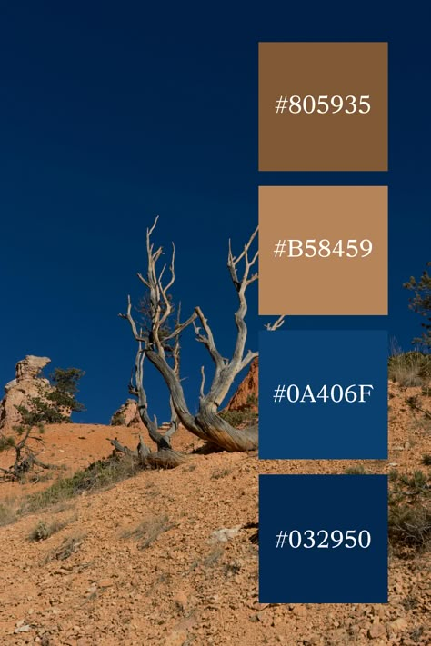 Desert Contrasts: A twisted, weathered tree set against a deep blue sky and rugged brown terrain, capturing the stark beauty of a blue and brown color palette. Blue Brown Colour Palette, Rugged Color Palette, Blue Brown Color Palette, Brown And Blue Color Palette, Blue And Brown Color Palette, Dark Blue Color Palette, Color Scheme Generator, Basement Colors, Blue Color Palettes