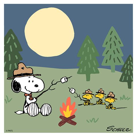 Camping Activity, Charlie Brown Comics, Cub Scouts Tiger, Snoopy Beagle, Snoopy Birthday, Camp Snoopy, Camp Site, Peanuts Snoopy Woodstock, Peanuts Cartoon