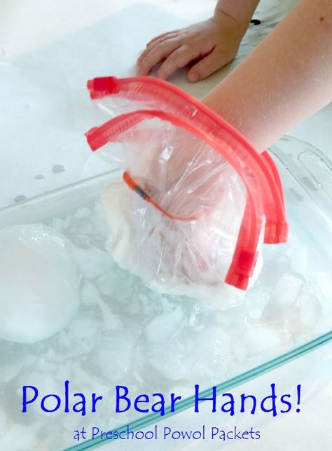 Polar Bear Science Experiment STEM! Great for preschool, kindergarten, and elementary ages! Polar Bear Science, Polar Bears Preschool, Polar Animals Preschool, Polar Bears Activities, Arctic Animals Preschool, Polar Bear Theme, Bears Preschool, Winter Activities Preschool, Science Crafts