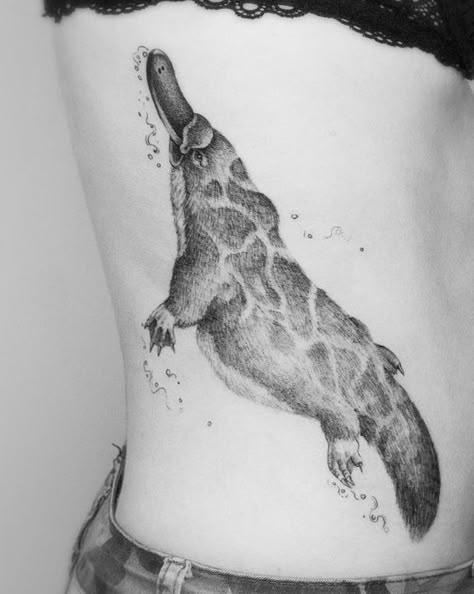 Australian Animal Tattoo, Platypus Tattoo, Print Making Designs, Australia Tattoo, Tattoo Reference, Gemini Tattoo, Australia Animals, Leg Tattoo, Australian Birds