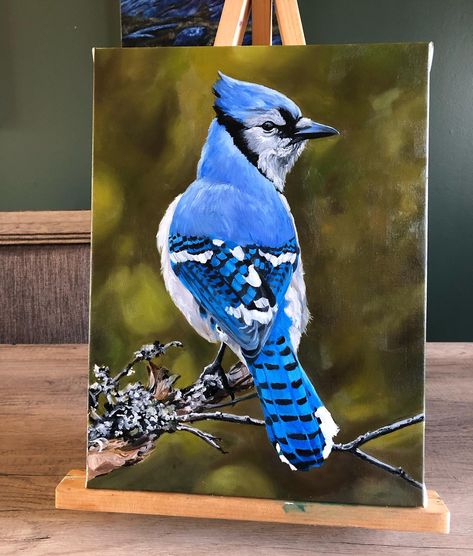 My latest oil painting! “50 Shades of Blue” inspired by the photograph by Geoff Smith! 12 x 16 inch oil on canvas! #bluejays #wildlifeart #paintingsforsale #canadianart #newfoundlandartist #birdwatchers #birdpainting #bluejayart Blue Jay Oil Painting, Blue Jay Acrylic Painting, Bluejay Painted Rock, Blue Jay Painting, Blue Jay Art, 50 Shades Of Blue, Morning Art, Blue Bird Art, Bird Watchers