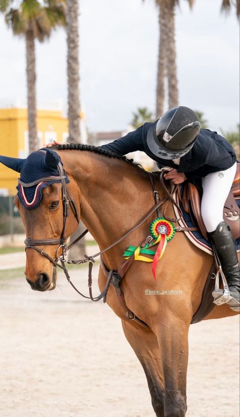 Horse Shows Aesthetic, Showjumper Aesthetic, Show Jumping Aesthetic, Horse Show Aesthetic, Horse Riding Competition, Showjumping Aesthetic, Horseback Riding Outfit, Horse Show Jumping, Aesthetic Equestrian