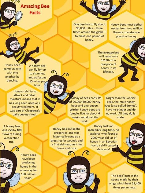 Bee Facts For Kids, Poster Template Free, Teacher Planning, Animal Science, Facts For Kids, Learning Ideas, Honey Bees, Science Teacher, Save The Bees