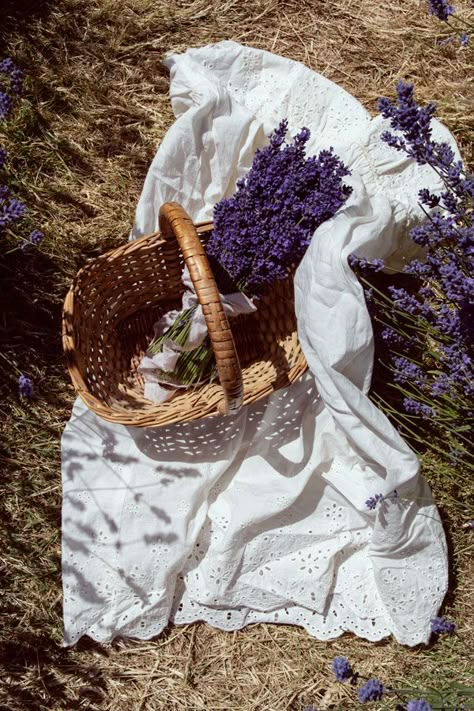 Romantic Flower Arrangements, Delphinium Bouquet, Lavender Fields Photography, Garden Bouquet, Blue Delphinium, Farm Photography, Lavender Aesthetic, Lavender Garden, Lavender Plant