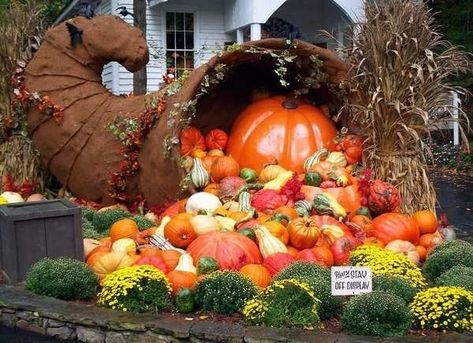 The 22 Coolest Pumpkin Displays Across the Country: Dollywood's Great Pumpkin LumiNights in Pigeon Forge, TN Store Pumpkin Display, Pumpkin Displays Outside, Old Westbury Gardens, Pumpkin Festival, Large Pumpkins, Giant Pumpkin, Pumpkin Display, Fall Is In The Air, Great Pumpkin