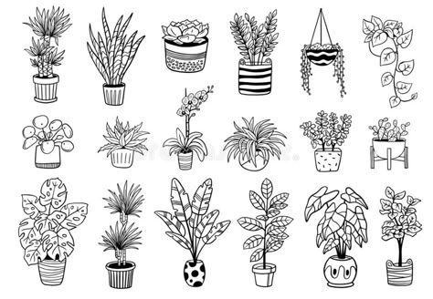 Set of cute Indoor and outdoor plants in pots. royalty free illustration Plants Tattoo Ideas, Pot Plant Drawing, Pot Plant Tattoo, Indoor Plant Tattoo, Cute Plant Tattoos, Plant In Pot Drawing, Cool Black And White Drawings, Plant Pot Tattoo, Outdoor Plants In Pots