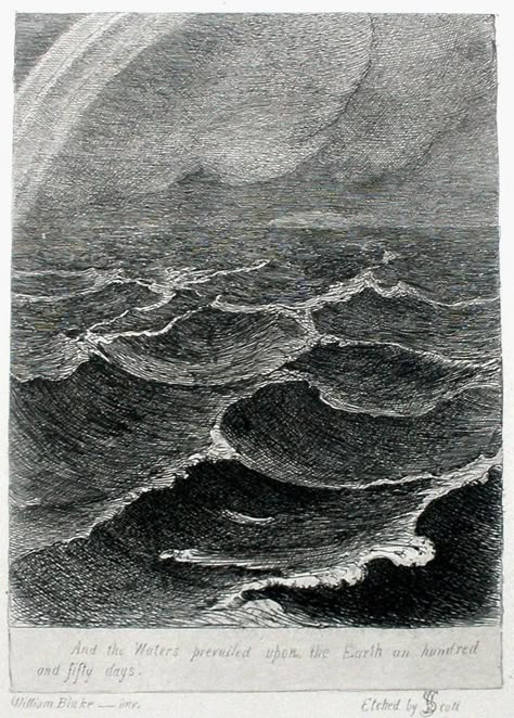 And the waters prevailed upon the earth an hundred and fifty days. William Bell Scott after William Blake, 1878. Etching Etch Drawings, Intaglio Printmaking, Drypoint Etching, Education Art, Drawing Water, Water Drawing, William Blake, Drawing Drawing, Water Art