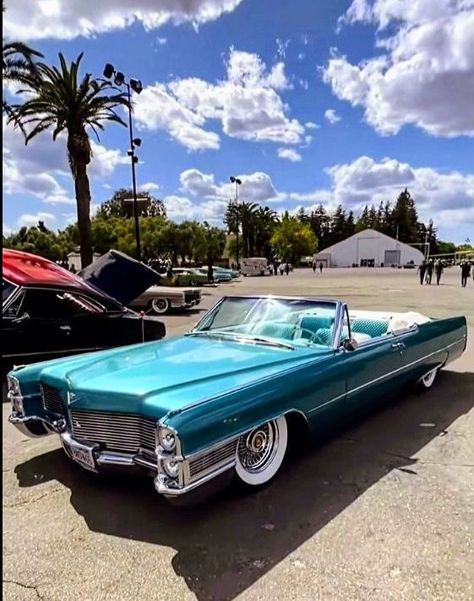 Classic Cadillac Cars, Cadillac Convertible, Vintage Cadillac, Caddilac Vintage, Classic Cadillac, Cadillac Celestiq, 1959 Cadillac, Ford Mustang Convertible, Pink Cadillac