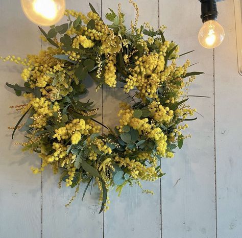 Mimosa Wreath, Mimosa Flower, Flower Plant, Mimosa, Flower Wreath, Love Flowers, Spring Wreath, Yellow Flowers, Fall Wreath