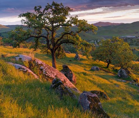 Sierra Mountains California, California Foothills, Exeter California, Utopia City, Arch Illustration, National Geographic Photo Contest, California Hills, California Mountain, National Geographic Photography